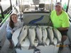 (08/07/2014) - Nice Striped Bass